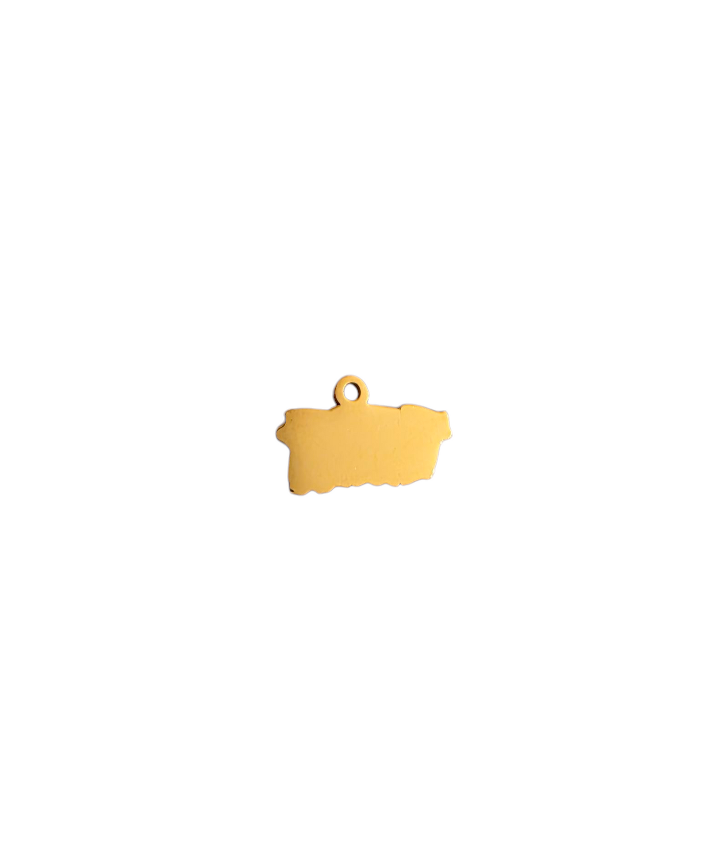 Mini PR Charm