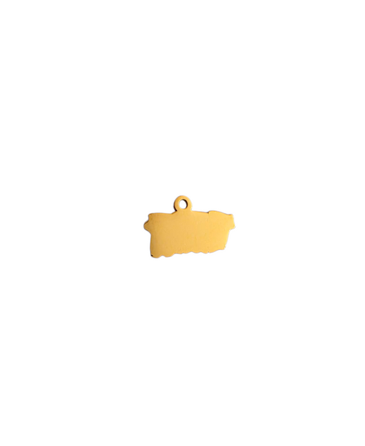 Mini PR Charm