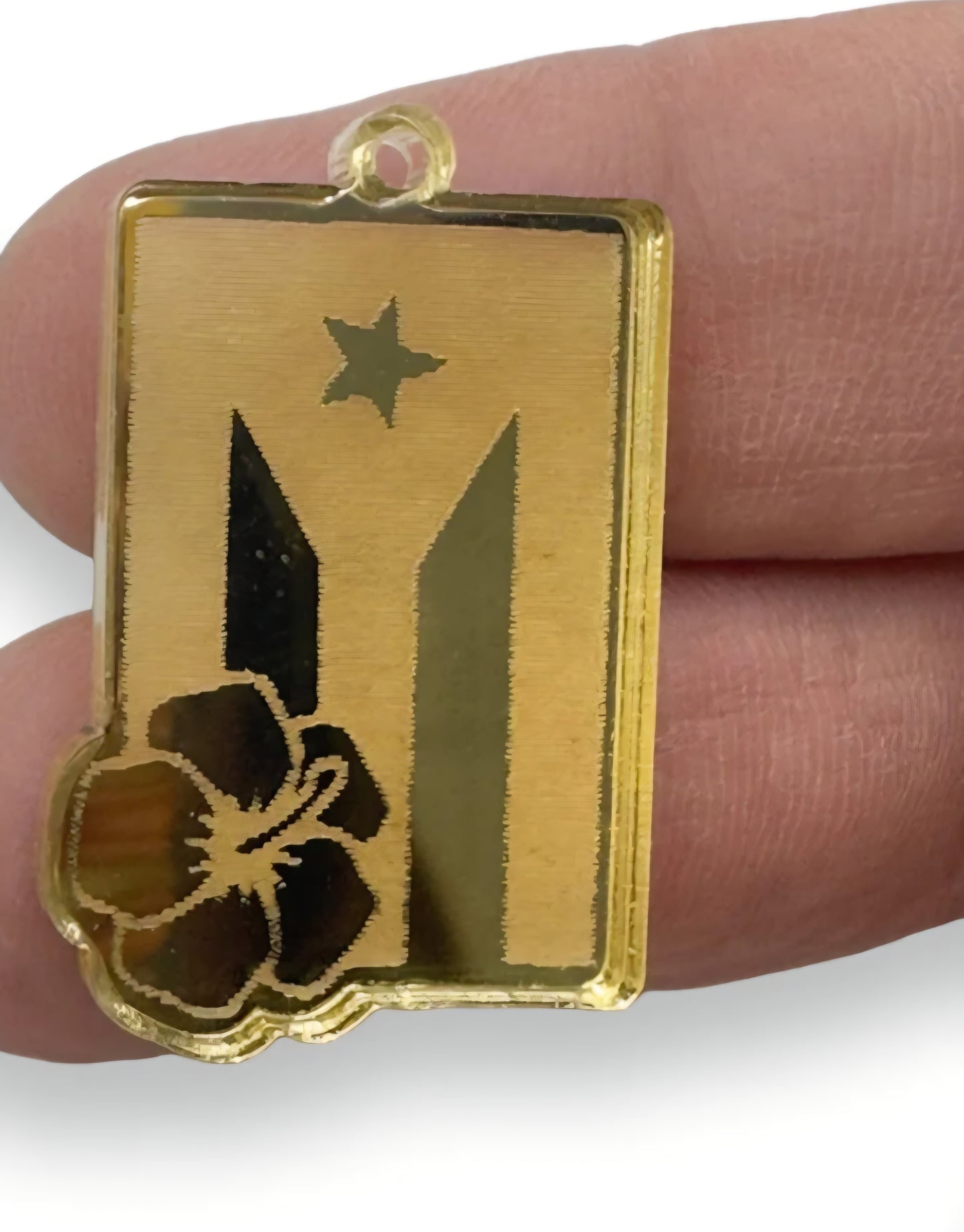 PR Flag Gold Charm