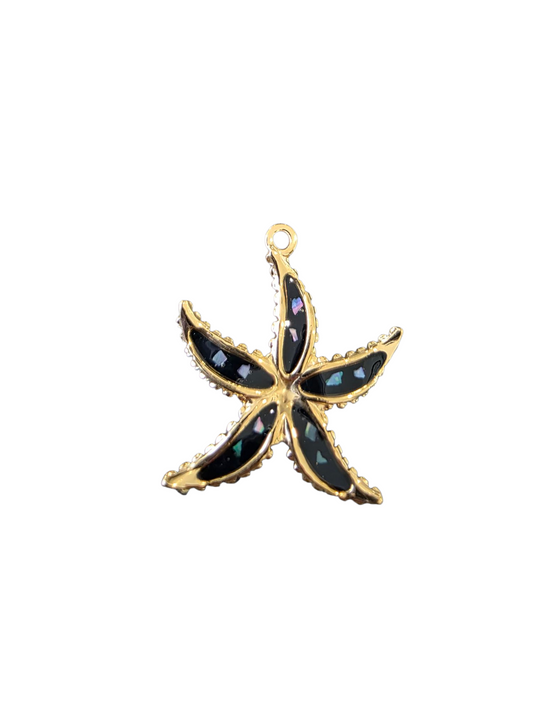 Black sea Star Charm