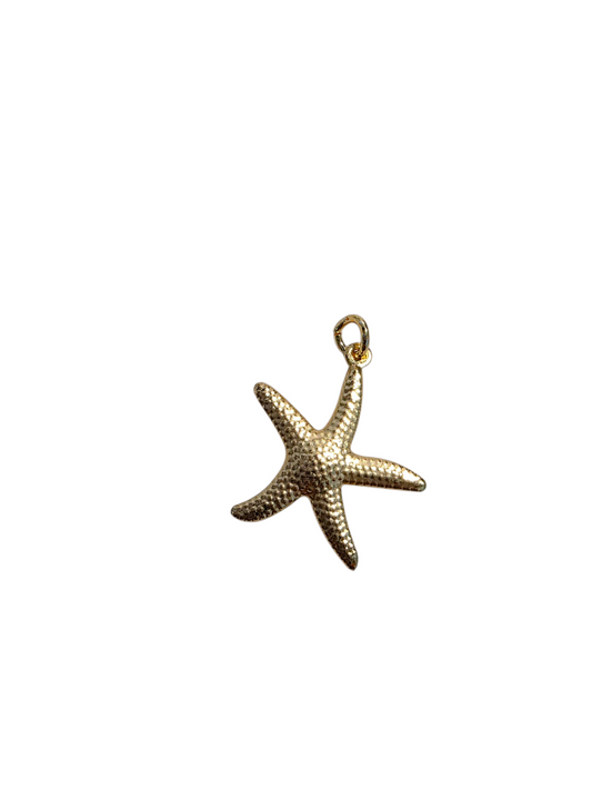 Sea Star Charm