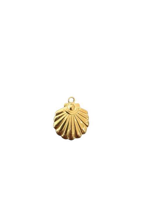 Shell Charm