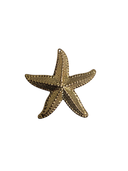 Big Sea Star Charm