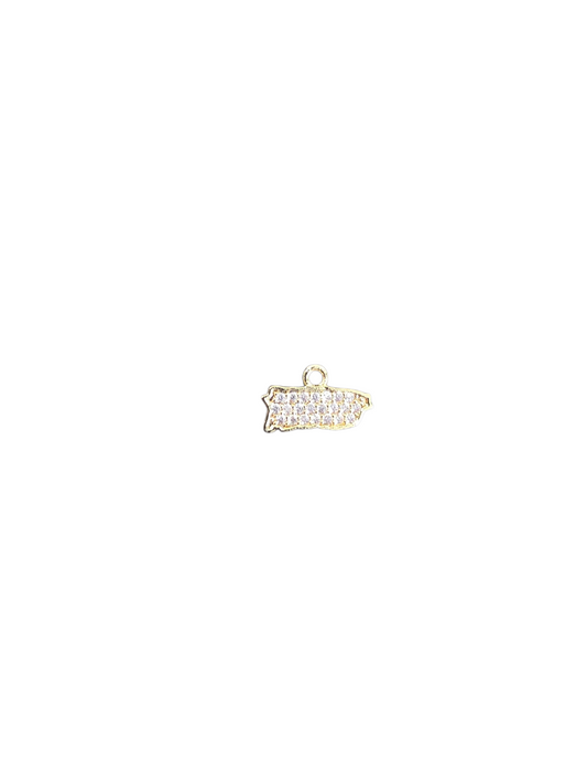 PR Mini Diamond Map Charm